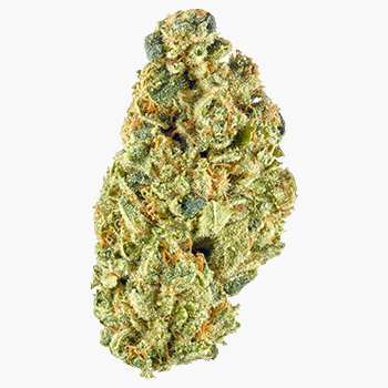 ALL DAY: Headband