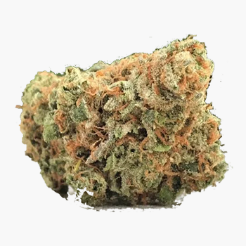 PRIMO: Maui Wowie